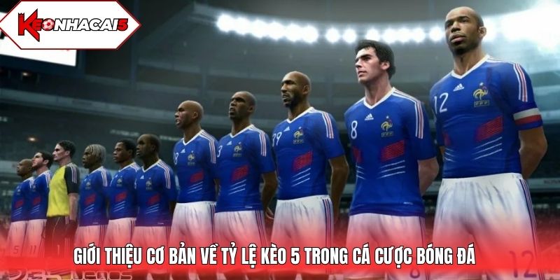 Giới thiệu cơ bản về tỷ lệ kèo 5 trong cá độ bóng đá