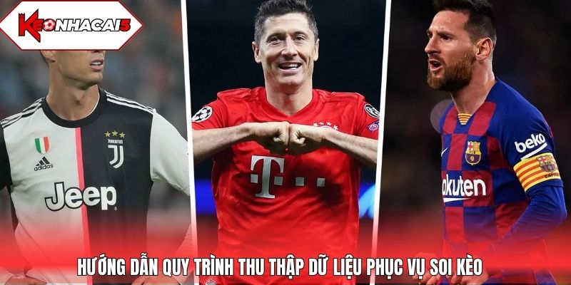 Hướng dẫn quy trình thu thập dữ liệu phục vụ soi kèo