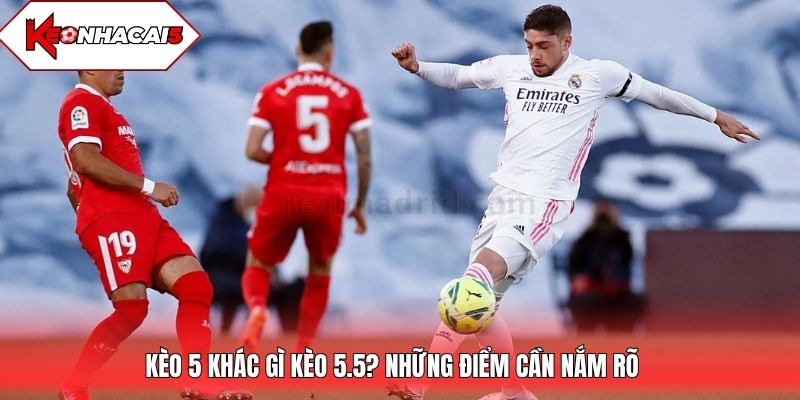 Kèo 5 khác gì kèo 5.5? Những điểm cần nắm rõ