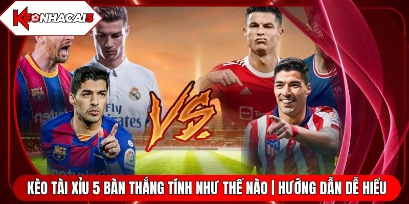 Kèo Tài Xỉu 5 Bàn Thắng Tính Như Thế Nào | Hướng Dẫn Dễ Hiểu