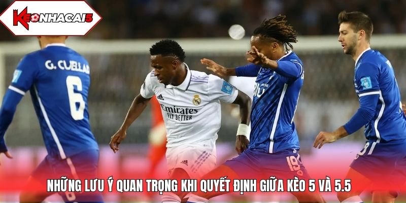Những lưu ý quan trọng khi quyết định giữa kèo 5 và 5.5
