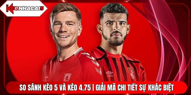 So Sánh Kèo 5 Và Kèo 4.75 | Giải Mã Chi Tiết Sự Khác Biệt