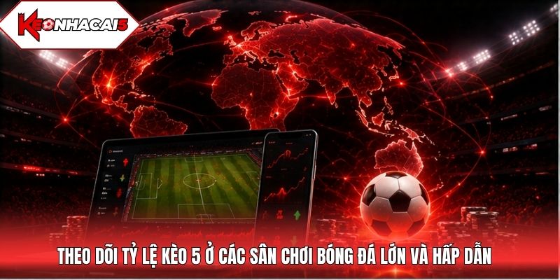 Theo dõi tỷ lệ kèo 5 ở các sân chơi bóng đá lớn và hấp dẫn
