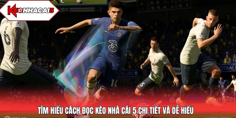 Tìm hiểu cách đọc kèo nhà cái 5 chi tiết và dễ hiểu